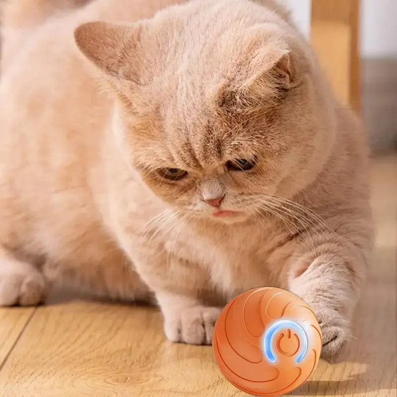 1PC Smart Dog Toy Ball Electronic Interactive Pet Toy Moving Ball USB Automatic Moving Bouncing For Puppy Kitten Birthday Gift WLP Company