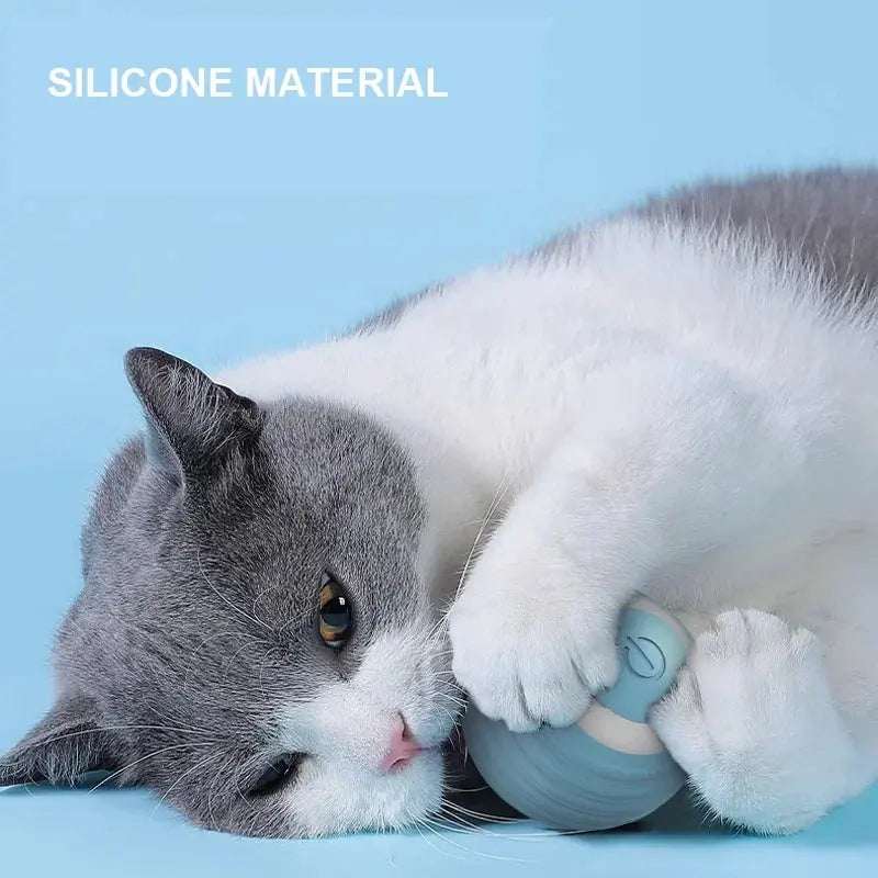 Cat Interactive Ball Smart Cat Toys for Pet Indoor WLP Company