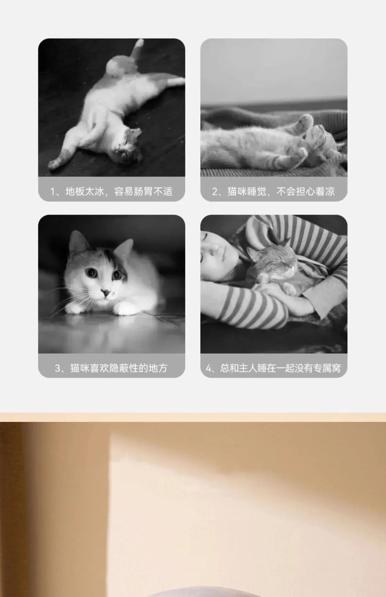 cat bed Four Seasons Cat Cradle Bed WLP Company