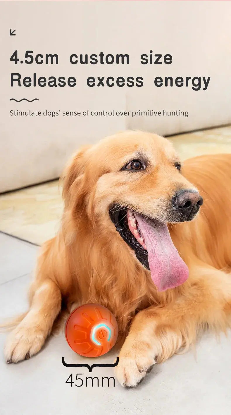 Smart Dog Toy Ball Electronic Interactive Pet Toy Moving Ball USB Automatic Moving Bouncing for Puppy Birthday Gift Cat Product WLP Company