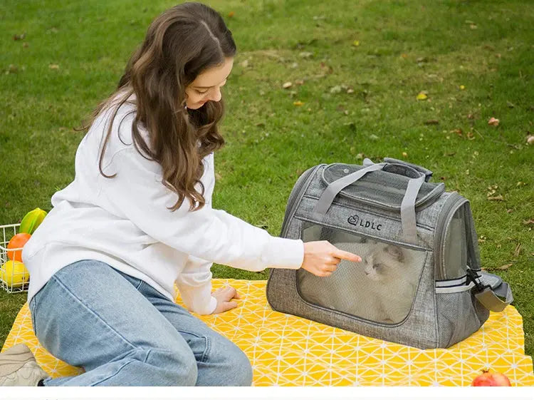 Portable Cat Bag Car-mounted Large Side Window Can Be Equipped with Trolley Pet Bag Breathable Travel Shoulder Folding Cat Bag WLP Company