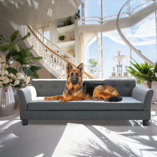 elevated dog bed Pet Bed for Medium and Large Dogs, Durable Elevated Dog Sofa Bed, Comfortable Dog Couch, Modern Dog Sofa WLP Company