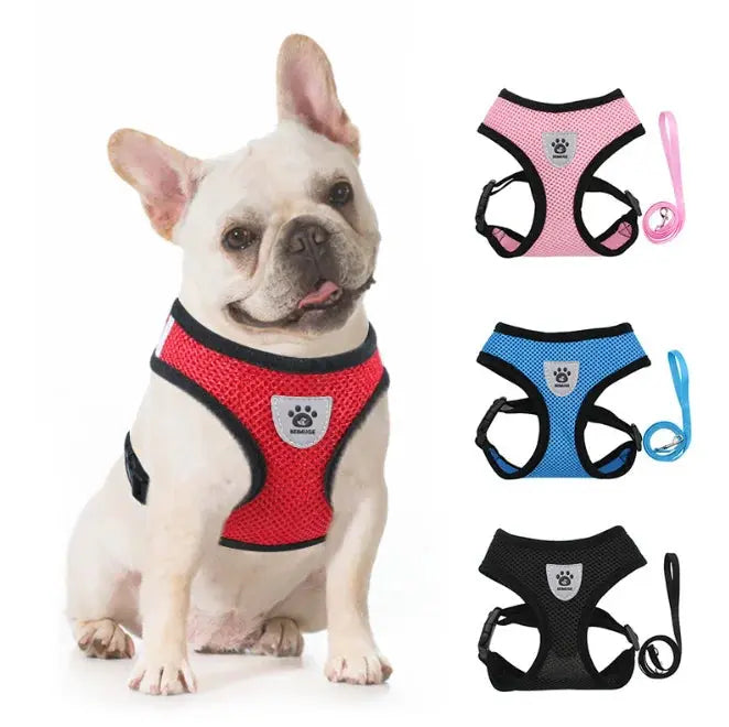 cat harness and Dog Harness Lead Leash Adjustable Vest Polyester WLP Company