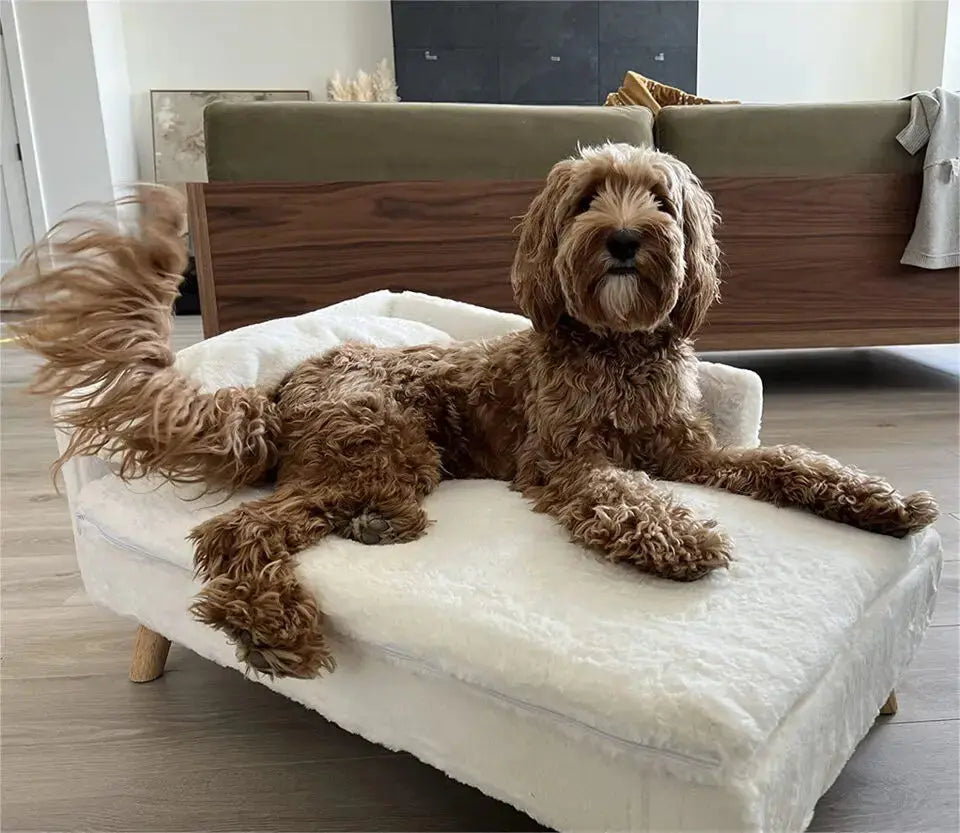 luxury dog sofa Luxury Elevated Dog Sofa Bed with Backrest Plush Cushion Wooden Legs WLP Company
