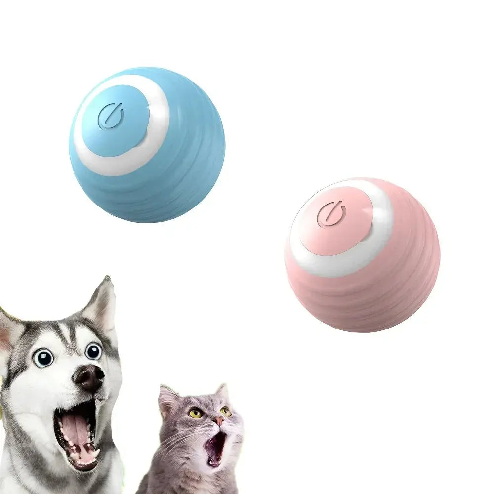 Cat Interactive Ball Smart Cat Toys for Pet Indoor WLP Company