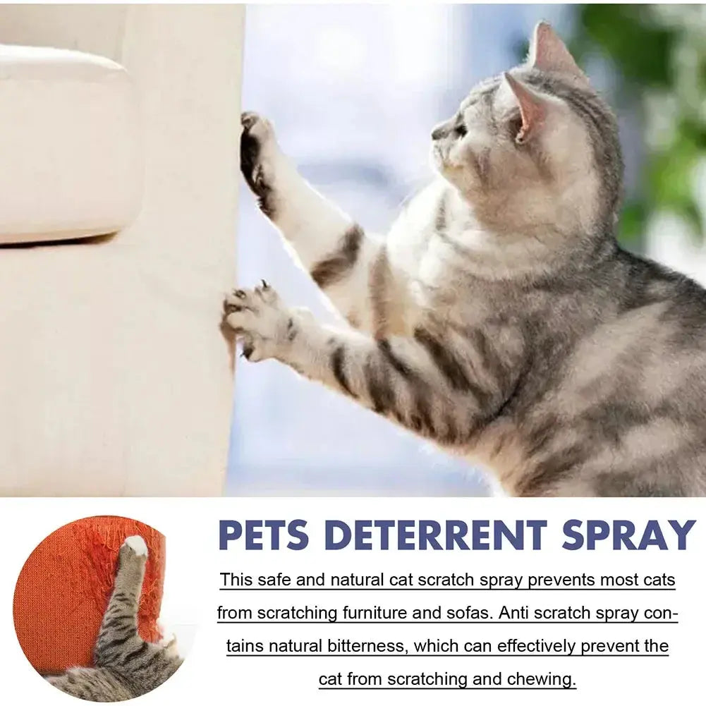 Cat Scratch Deterrent Spray Natural Scratching Training Aid Spray No Stimulation Orange Fragrance Sofa Furniture Protectors WLP Company