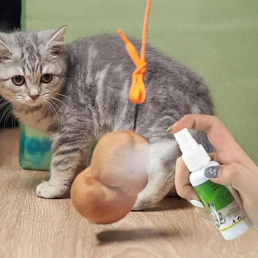 50ml Natural Catnip Cat Spray Cat Calming Mint Spray Happy Water Cat Herb Inducer Pet Accessories For Kittens Cats WLP Company