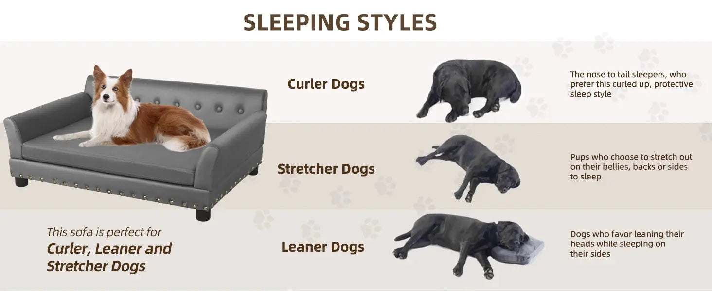 elevated dog bed Pet Bed for Medium and Large Dogs, Durable Elevated Dog Sofa Bed, Comfortable Dog Couch, Modern Dog Sofa WLP Company