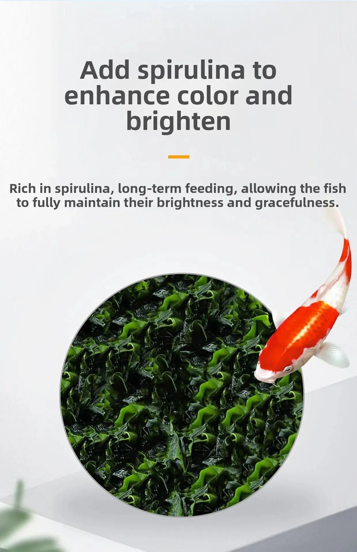 Yee Freeze-Dried Aquatic Treats - Nutrient-Rich Brine Shrimp & Bloodworm Combination for Nano Fish | 100% Natural Protein Source WLP Company