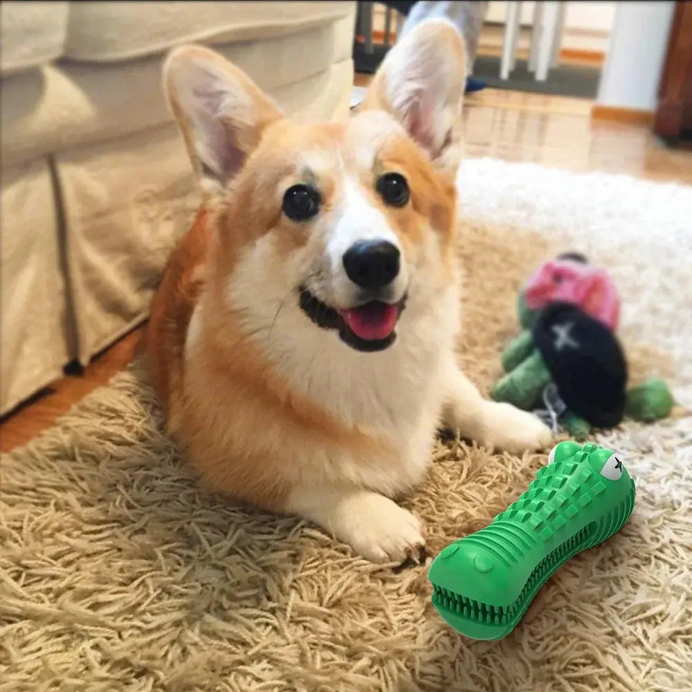 Pet Dog Chew Toys Rubber Chew Toy Aggressive Chewers Dog Toothbrush Doggy Puppy Dental Care For Dog Pet Accessories WLP Company