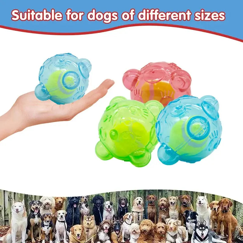 Pet Dog Chew Toy Cute Bear Head Resistant Bite Puppy Toys with Tennies Teeth Cleaning Sound Dog Toy Large Small Dog Squeaky Toy WLP Company