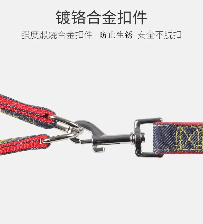 Comfort Style Long Dog Leash WLP Company