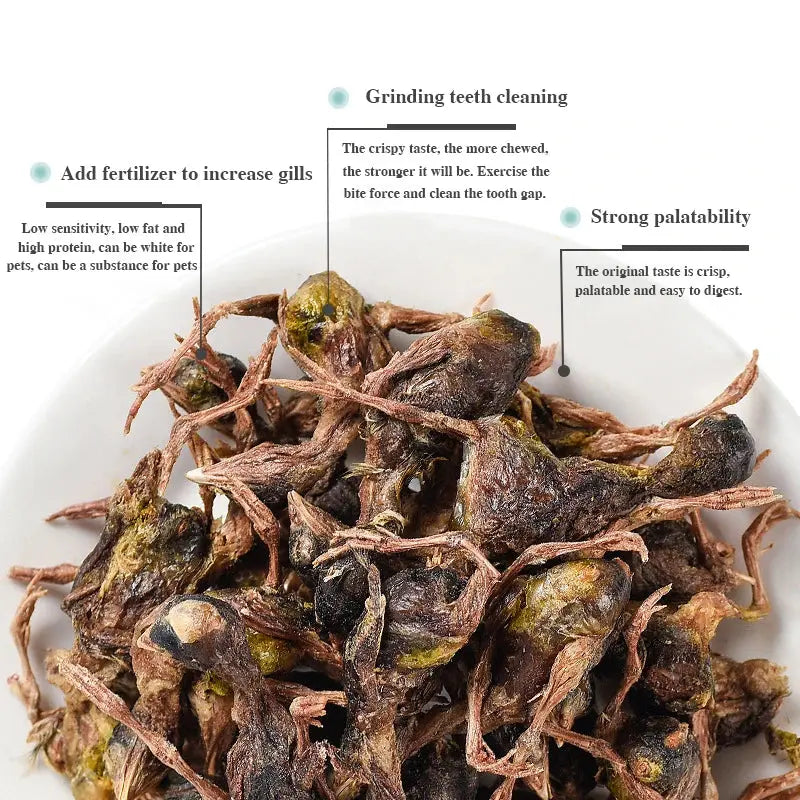 pet snacks Pet freeze-dried meat quail cat snacks kittens hair gill quail freeze-dried dog snacks WLP Company