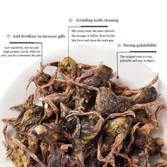 pet snacks Pet freeze-dried meat quail cat snacks kittens hair gill quail freeze-dried dog snacks WLP Company