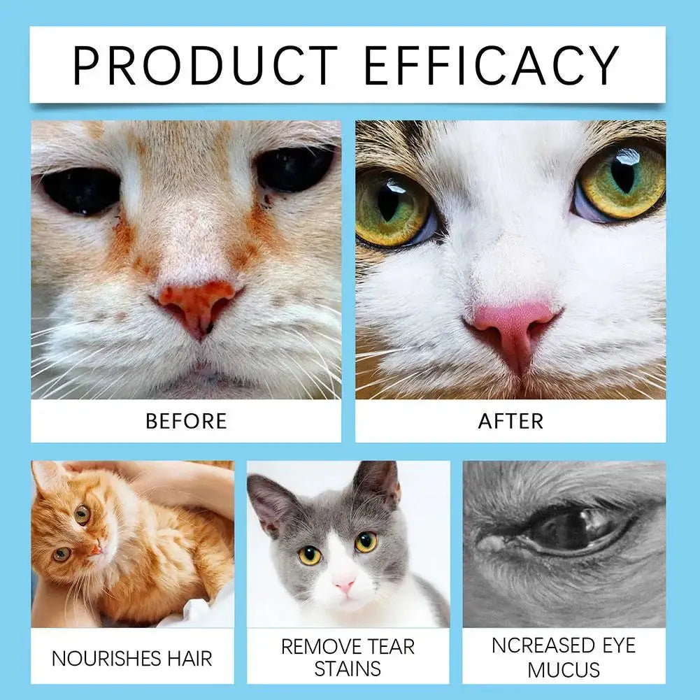 pet eye cleansing wipes Eye Cleansing Finger Wipes Cat & Dog Cleansing Wipes Eye Cleansing Decontamination Wipes Gentle Easy To Carry WLP Company