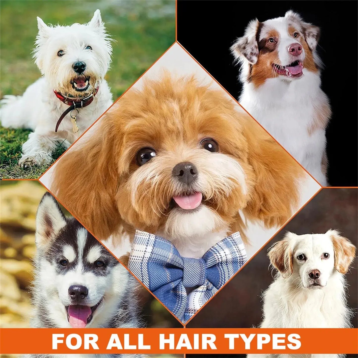 4-In-1 dog shampoo Dog Shampoo - Cleanses, Conditions, Smoothes, Moisturizes With Lavender Chamomile - Pet-Friendly Formula WLP Company