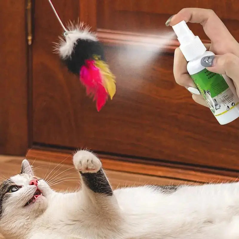 50ml Natural Catnip Cat Spray Cat Calming Mint Spray Happy Water Cat Herb Inducer Pet Accessories For Kittens Cats WLP Company