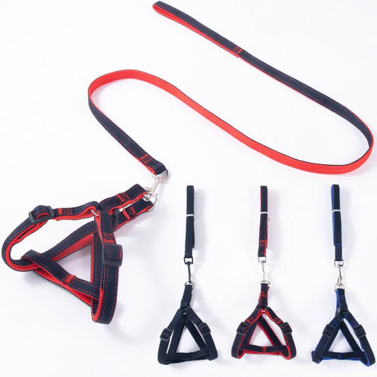 Comfort Style  Long Dog Leash