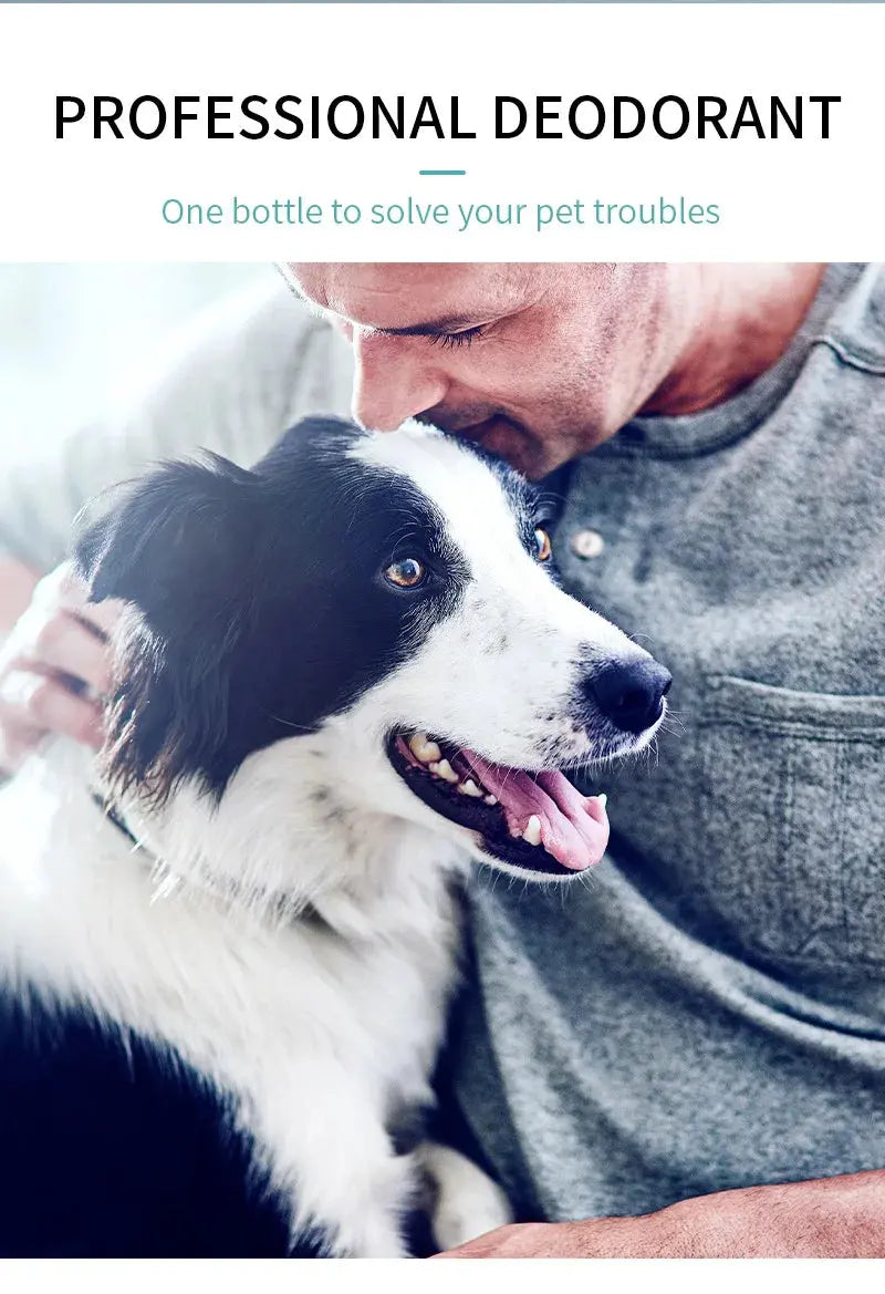 Natural Pet Deodorizing Spray for Cats Dogs Long Lasting Fragrance Odor Eliminator Safe Gentle Formula for Home Pet Care WLP Company
