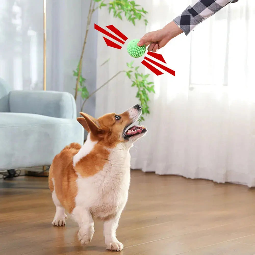 Pet Chew Toy Squeaky Corn Ball, Durable Dog Chewing Ball for Teeth Grinding & Cleaning, Puppy Boredom Relief Pet Supplies WLP Company