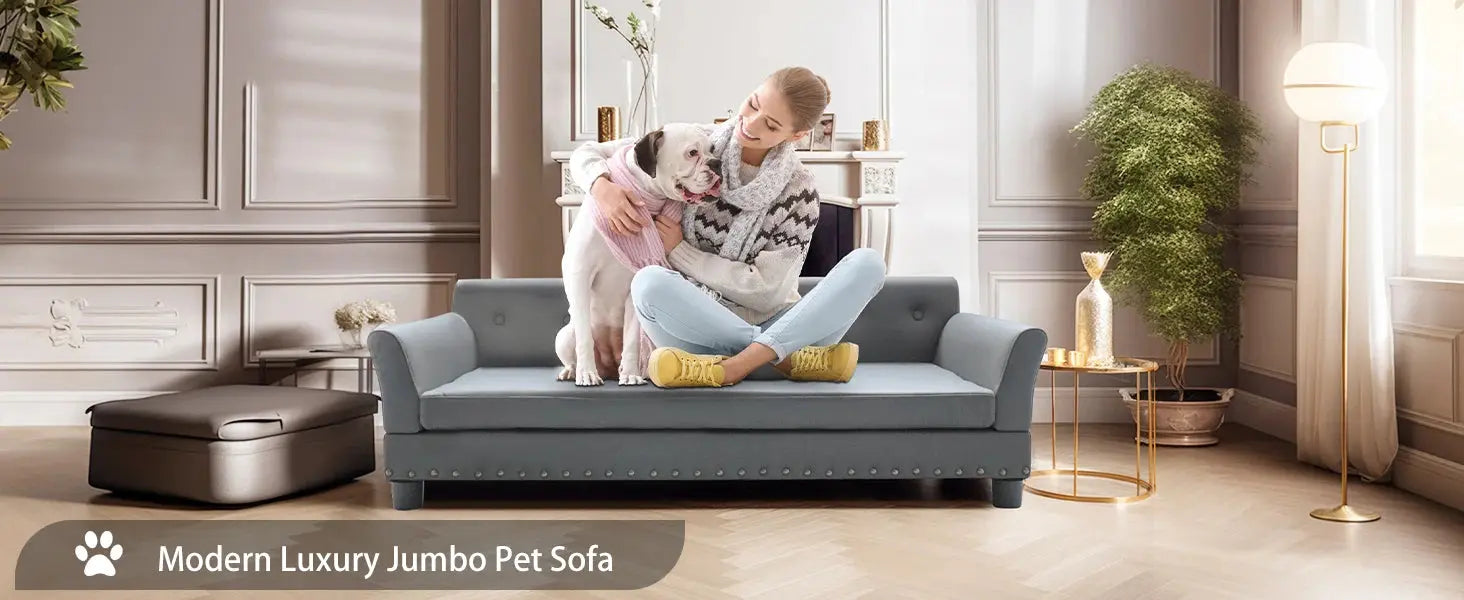 elevated dog bed Pet Bed for Medium and Large Dogs, Durable Elevated Dog Sofa Bed, Comfortable Dog Couch, Modern Dog Sofa WLP Company