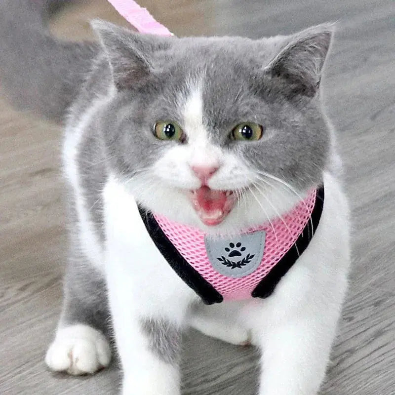cat harness and Dog Harness Lead Leash Adjustable Vest Polyester WLP Company