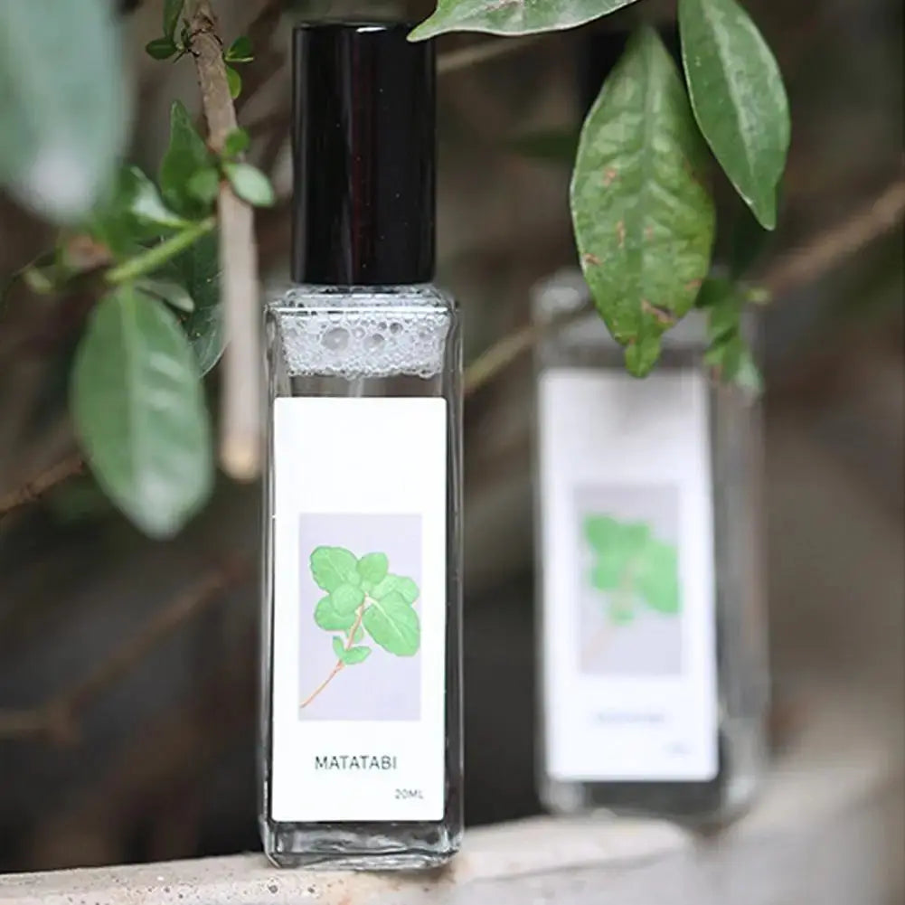Celery Pets Catnip Spray Joy Herbal Cat Joy Insect Gall Fruit Spray Exciting Scratching Board Dropshipping WLP Company