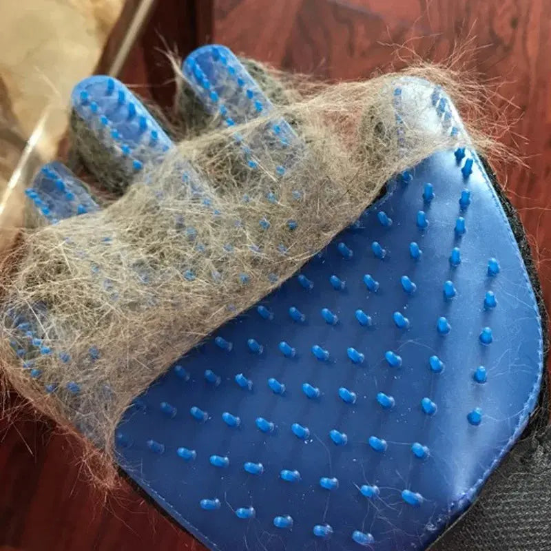 Cat Hair Removal New hot Sell 1PC Cat Hair Remove Gloves for Pet Beauty WLP Company