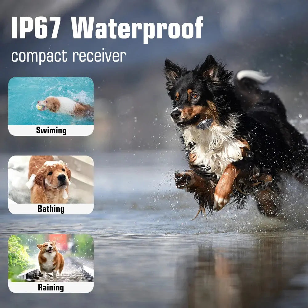 Dog Training Collar with Remote, IP67 Waterproof for 3 Dogs WLP Company