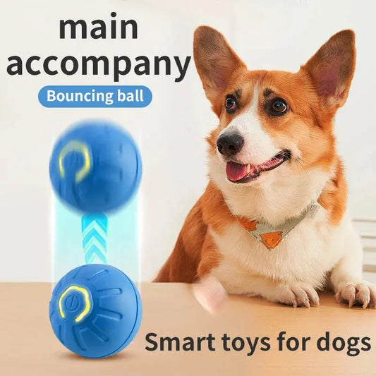 Smart Dog Toy Ball Electronic Interactive Pet Toy Moving Ball USB Automatic Moving Bouncing for Puppy Birthday Gift Cat Product WLP Company