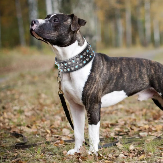 Luxurious Dog Real Leather Collar for Pet shows