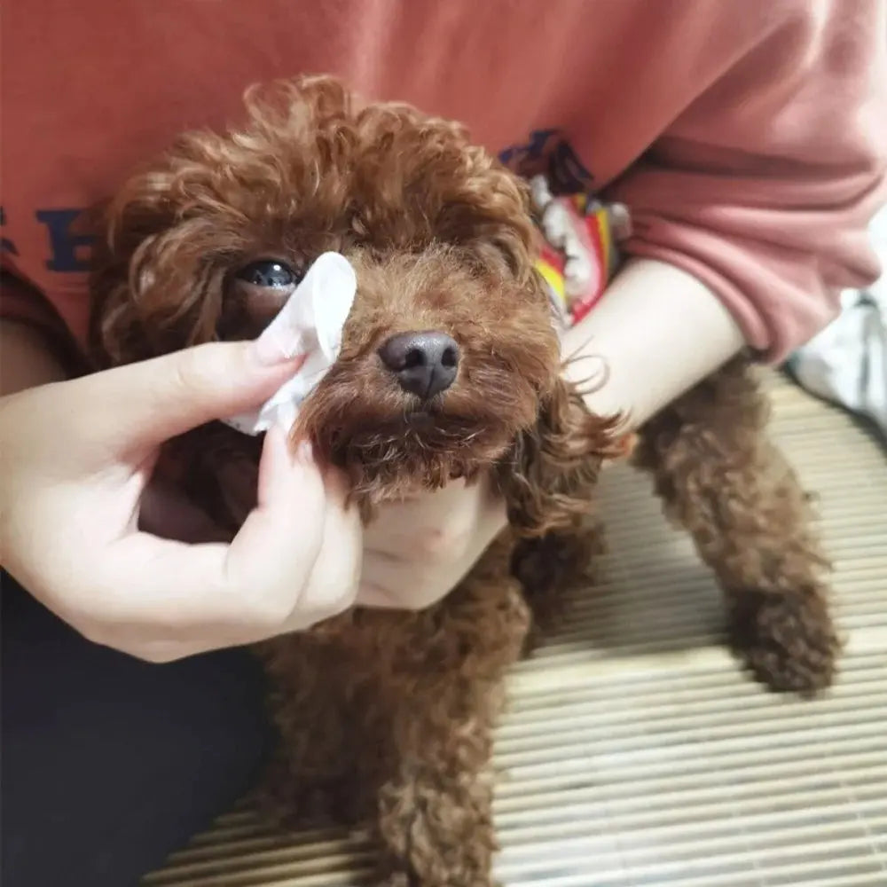 pet cleaning wipes 130 Pieces Pet Cleaning Tear Wipes, Non-Woven Eye Wipes for Dogs and Cats, 7x7cm Diameter, 112G Single Weight, Non-Woven Fabric WLP Company