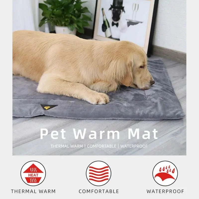 Dog Bed Self Heating Pet Pads Dog Blanket Cat Bed Puppy Pet Thermal Mat Blanket Sofa Cushion Home Winter Warm Sleeping Cover WLP Company