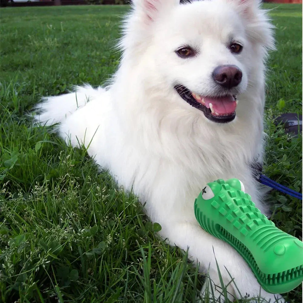 Pet Dog Chew Toys Rubber Chew Toy Aggressive Chewers Dog Toothbrush Doggy Puppy Dental Care For Dog Pet Accessories WLP Company