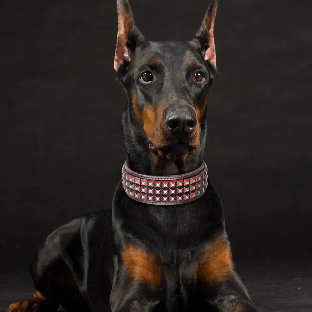 luxury dog collar 2inch Wide Luxury Genuine Leather Dog Collar WLP Company