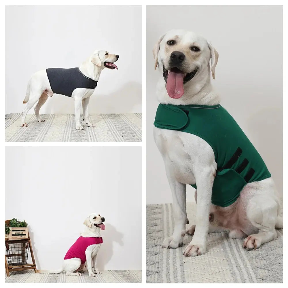 pet anxiety jacket Emotion/ Anxiety Soothing Jacket WLP Company