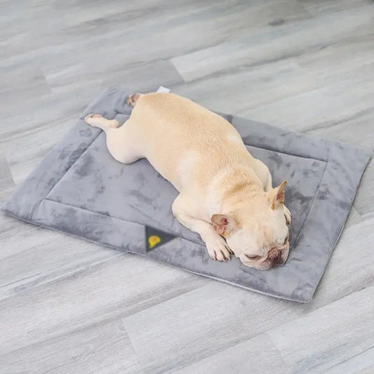 Dog Bed Self Heating Pet Pads Dog Blanket Cat Bed Puppy Pet Thermal Mat Blanket Sofa Cushion Home Winter Warm Sleeping Cover WLP Company