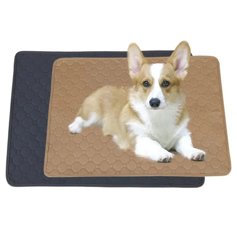 waterproof pet blanket Dog Bed Blanket Mat Dog Sofa Couch Slipcover Pet Pad with Neck Pillow Washable Cat Calming Nest for Travel Home WLP Company