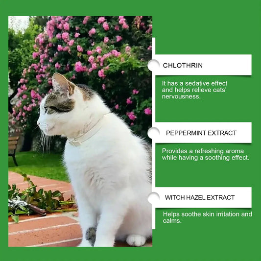 Cat Calming Diffuser Cat Pheromone Plug-In Relaxants Prevent Howling Pet Dogs Anti-Anxiety Reduces Anxiety Cat Calming Liquid WLP Company