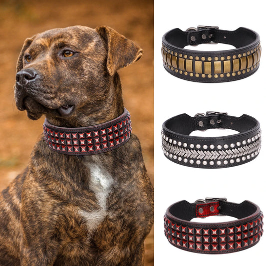 2inch Wide Luxury Genuine Leather Dog Collar