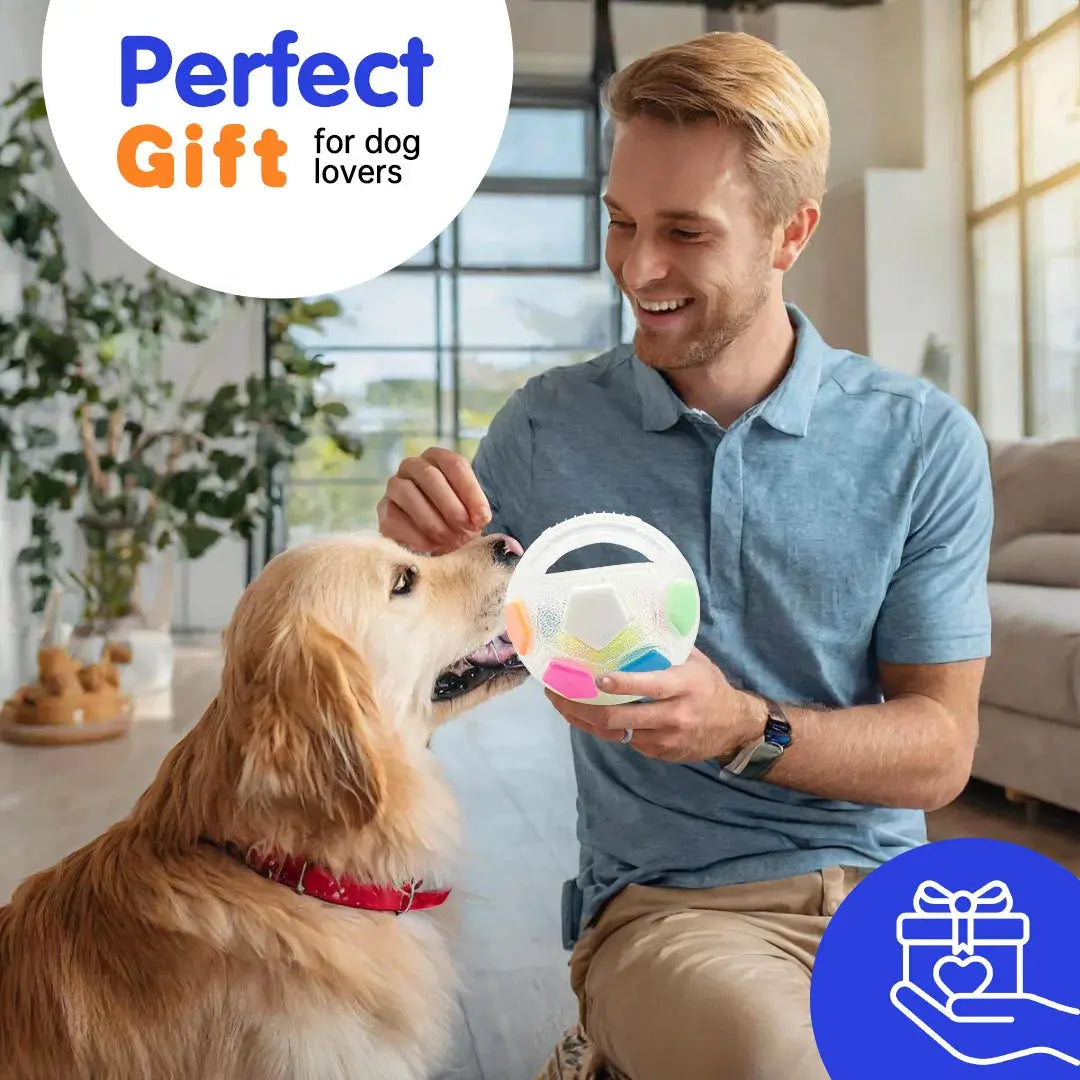 New football tennis ball shaped pet dog toys, durable teething relief to accompany outdoor training squeak toys WLP Company