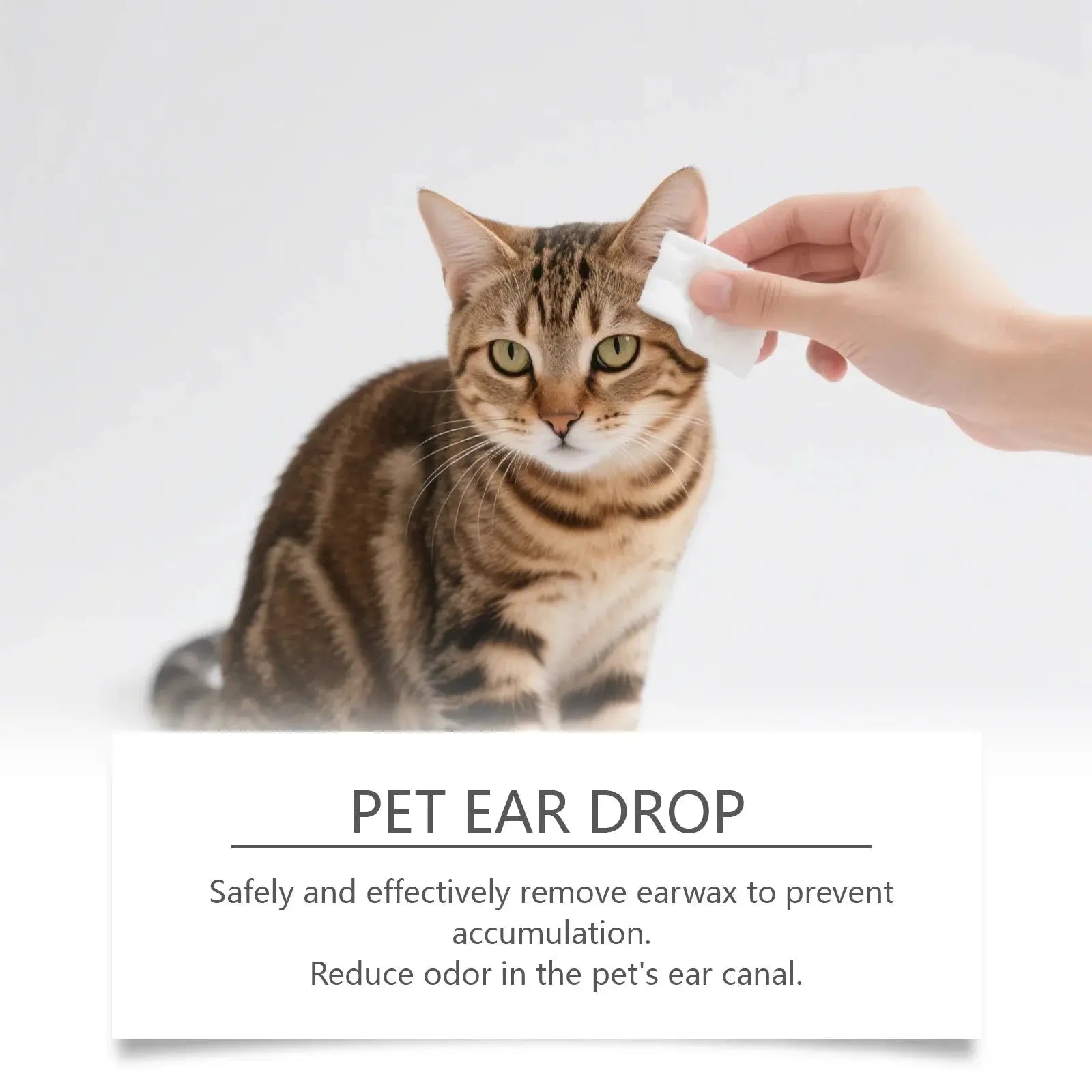 Pet Ear Drops - 60ml Gentle Cleaner for Cats & Dogs, Remove Ear Wax, Soothe & Nourish Ears, Universal Ear Care Solution WLP Company