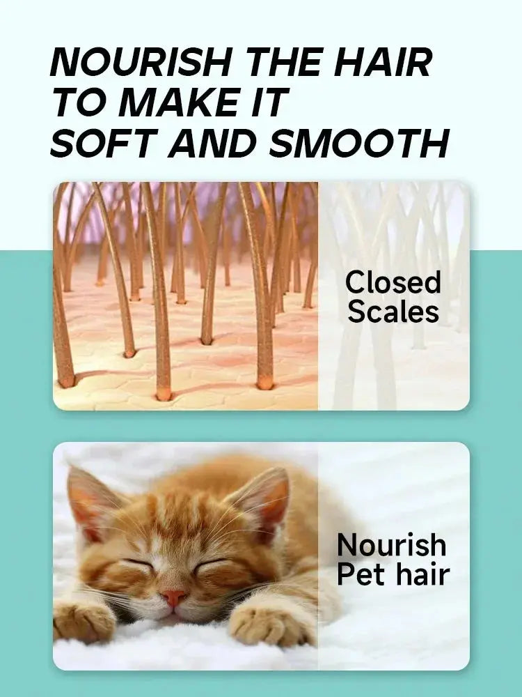 Long Lasting Softness Pet Grooming Spray Tangle Free Anti Static Conditioning Mist Essential for Dogs Cats WLP Company