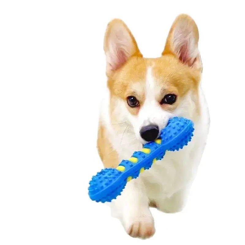 Pet Dog Chew Toy Teeth Cleaning Molar Stick Rubber Bone Toy Puppy Interactive Stick Dog Chewing Bite Toys WLP Company