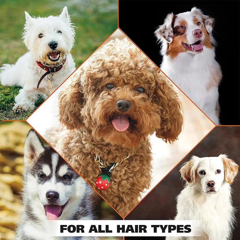 Pet Dog Shampoo and Conditioner All Natural 4 in1 pet shampoo and 17oz Puppy shampoo for dogs，dog shower gel shampoo 500ml WLP Company