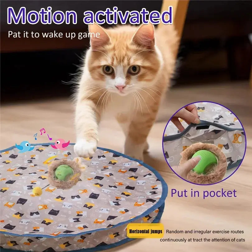 Smart Interactive Cat Toys Ball Fast Rolling in Pouch Hide and Seek Kitten Toy Motion Activated Interactive Cat Toy for Indoor WLP Company