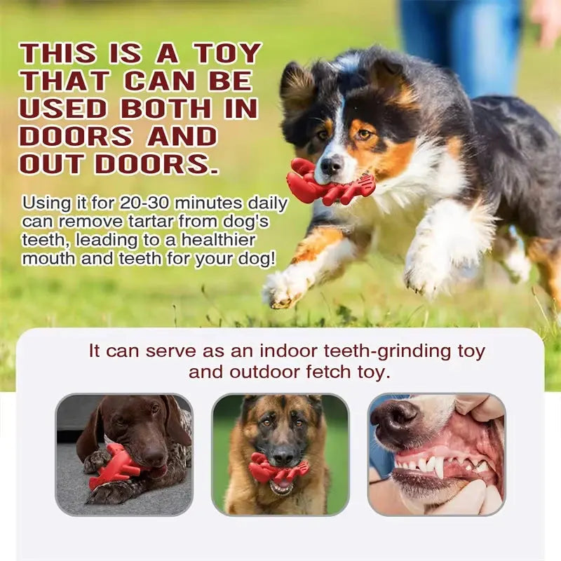Big Dog Toy Chew Toy Molar Toothbrush Toy Tug-of-War Game Bulldog Anxiety Relief Interactive Lobster Shaped Pet Supplies WLP Company
