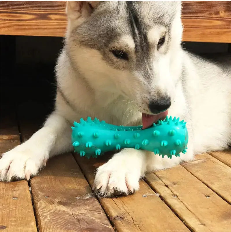 Rubber Dog Chew Toy Teeth Cleaning Pet Toothbrush Chewing Stick Toys for Dog Chew Toy Elasticity Soft Pet Tooth Cleaning WLP Company