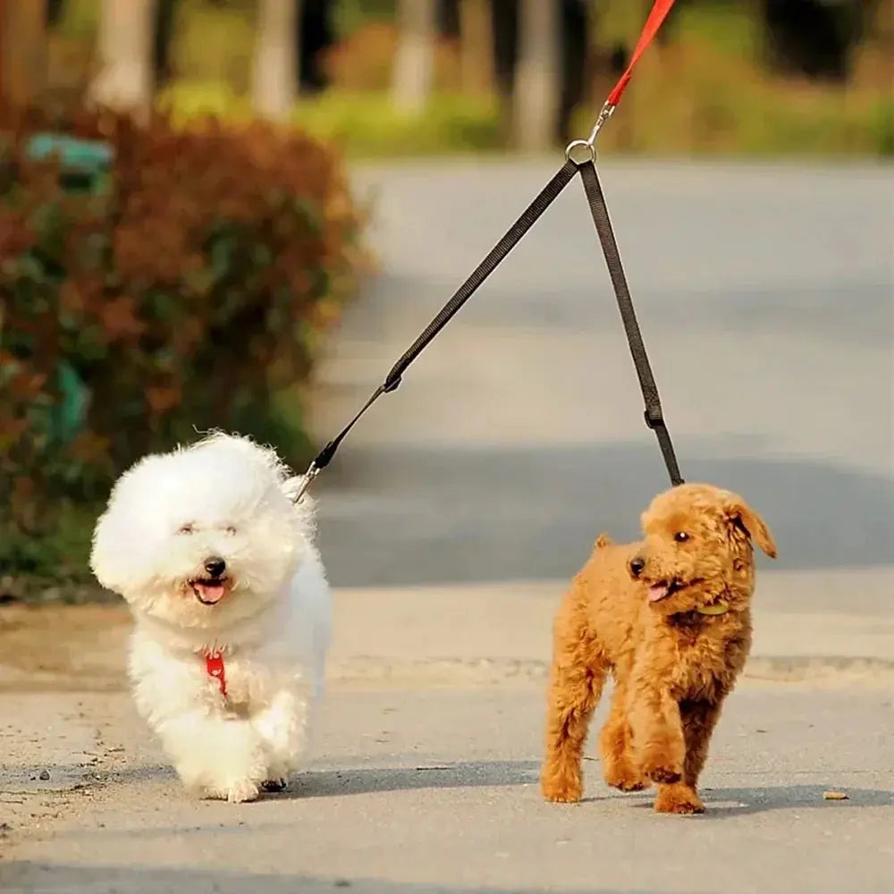 Double Twin Walking Leash WLP Company