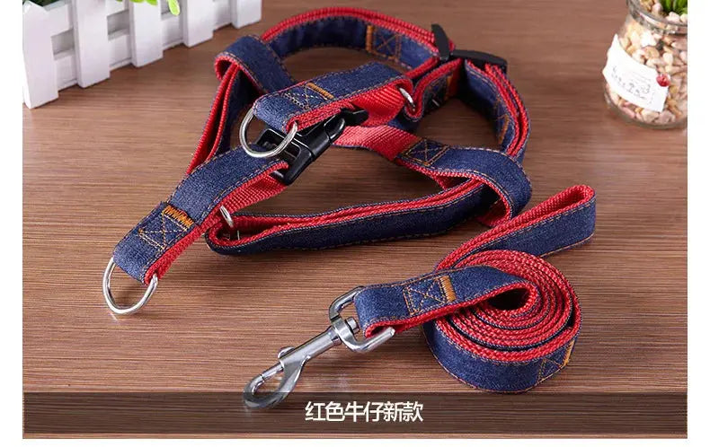Comfort Style Long Dog Leash WLP Company
